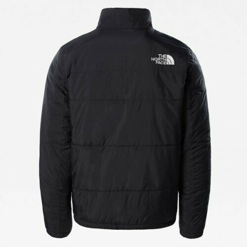 Куртка The North Face, мужская, демисезон/зима, силуэт прямой, размер L, черный