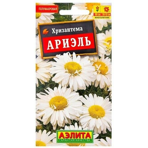 Семена цветов Хризантема Ариэль, Мн, 0,1 г 12 упаковок