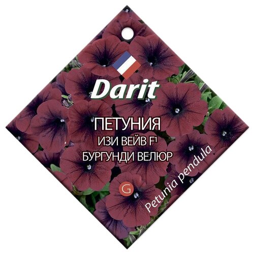 Семена Darit Петуния Изи Вейв Бургунди велюр F1, 5 шт.