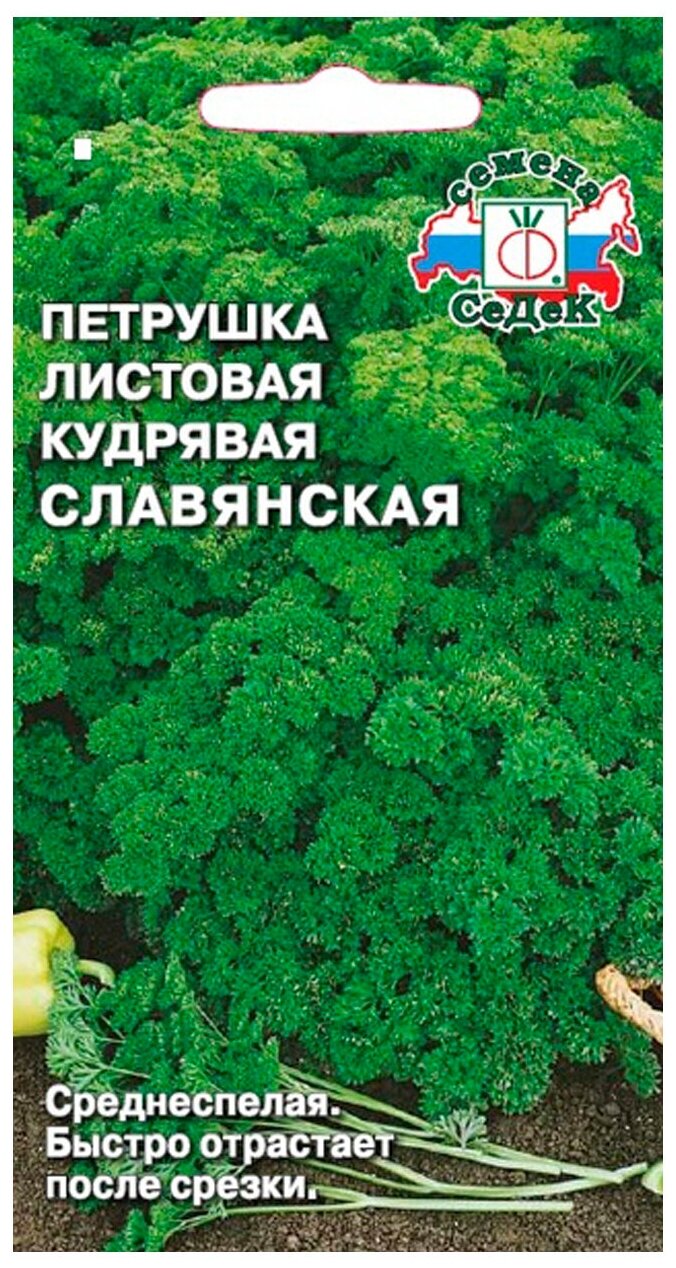 Семена СеДек Петрушка листовая кудрявая Славянская