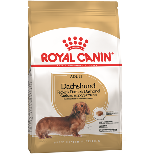 Корм сухой ROYAL CANIN Dachshund Adult для собак породы Такса старше 10 месяцев, 1,5 кг