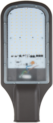 Светильник уличный на столб ULV-R22H-100W/DW IP65 Uniel UL-00009441