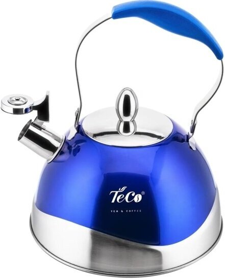 Teco Чайник со свистком TC-107 3 л, серебристый/синий - фотография № 2