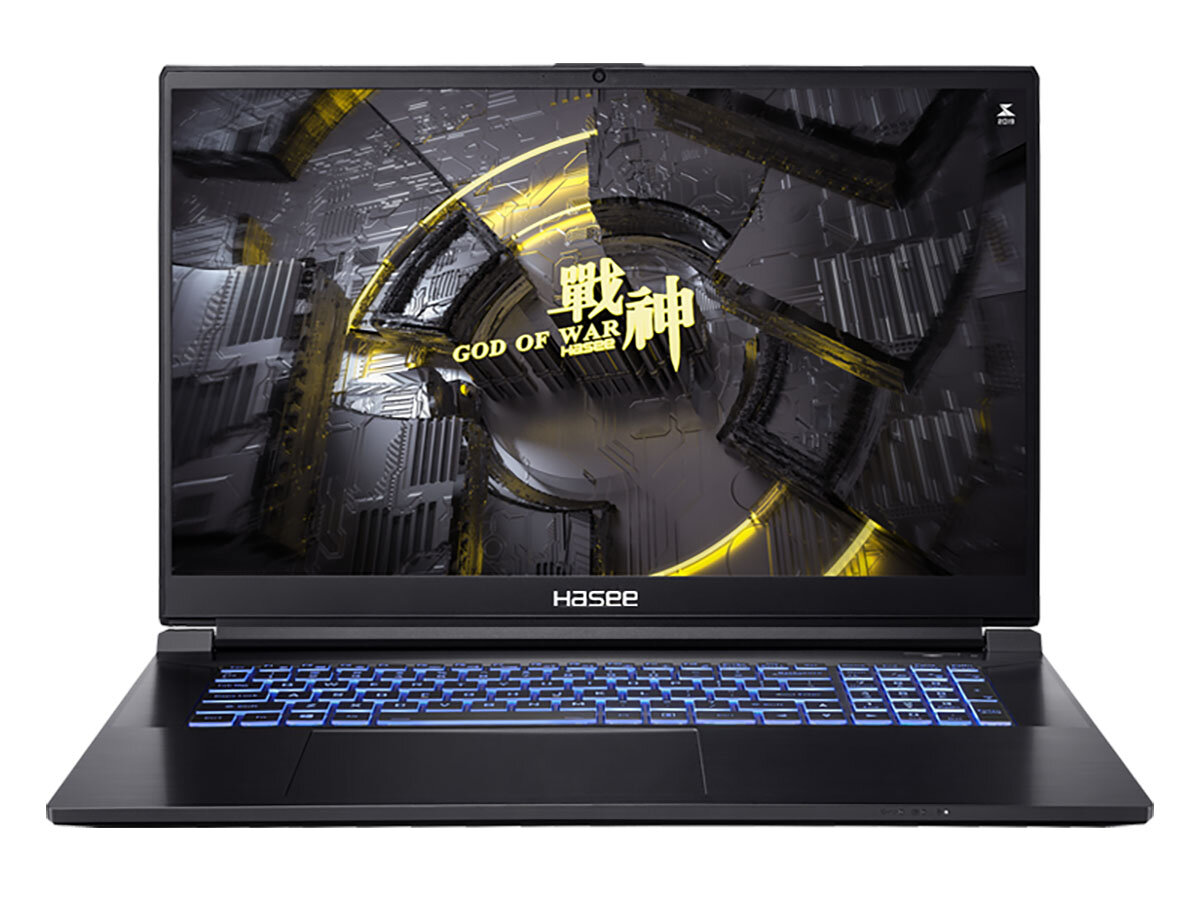 Ноутбук HASEE G8R9 G8R9 (17.3", Core i9 13900H, 16 ГБ/ SSD 1000 ГБ, GeForce® RTX 4060 для ноутбуков) Черный