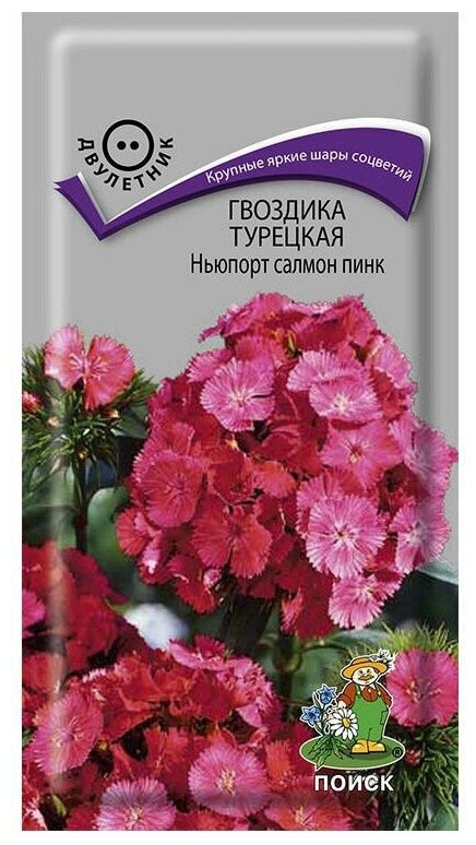 Семена ПОИСК Гвоздика Турецкая Ньюпорт салмон пинк 0.5 г