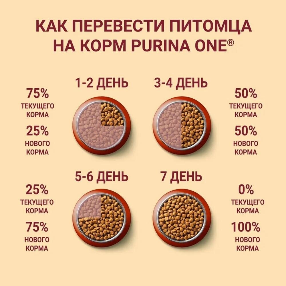 Сухой корм Purina ONE для взрослых собак средних и крупных пород, с высоким содержанием ягненка и рисом, 10кг - фото №16