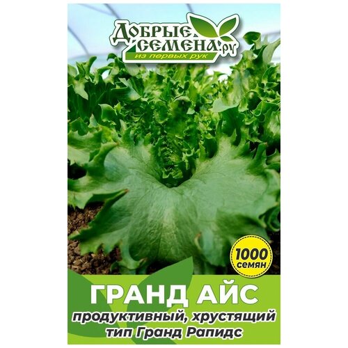 Семена салата Гранд Айс - 1000 шт - Добрые Семена. ру семена салата гранд айс 250 шт добрые семена ру