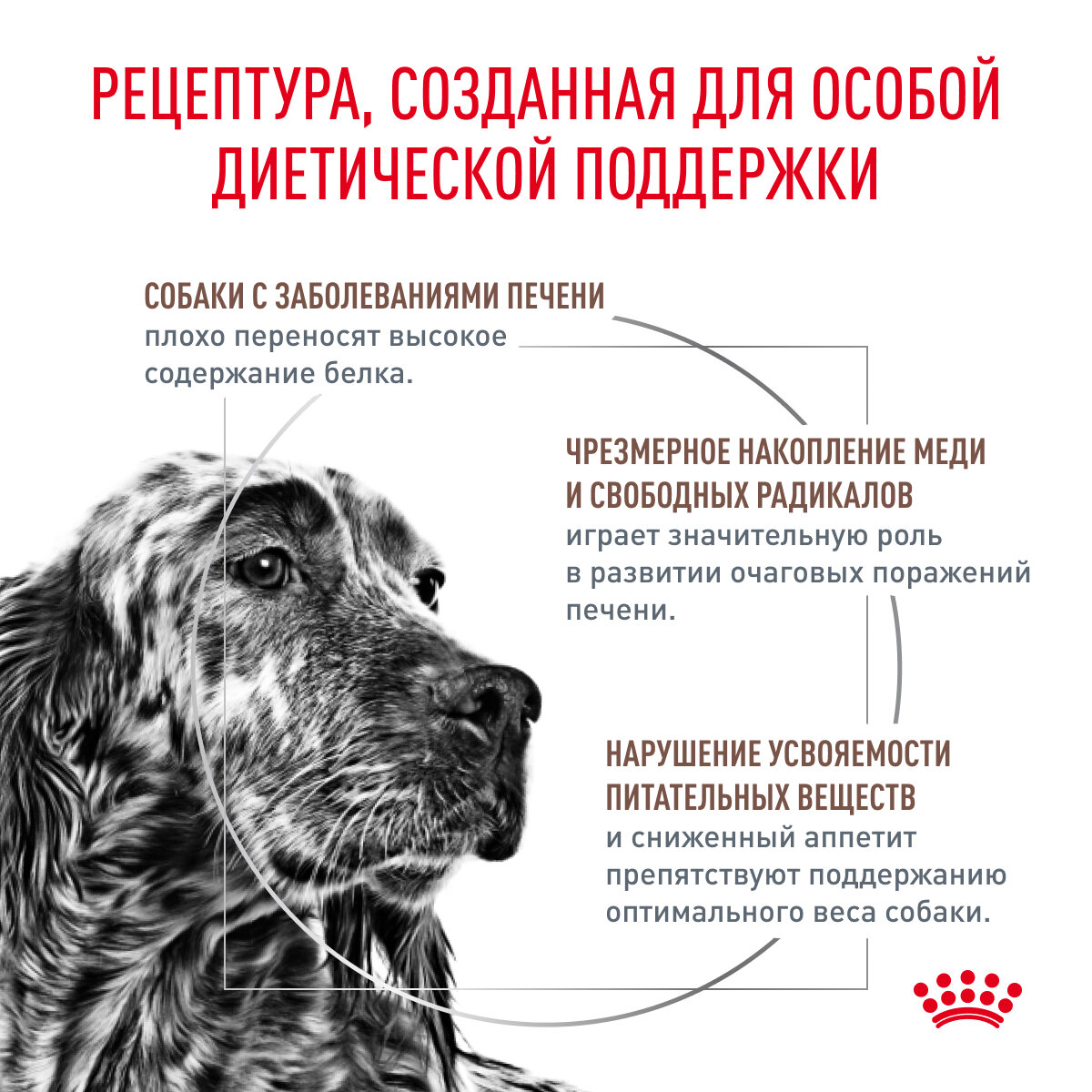 Сухой диетический корм Royal Canin Veterinary Diet Hepatic для взрослых собак для поддержания функции печени, 1.5кг - фото №3