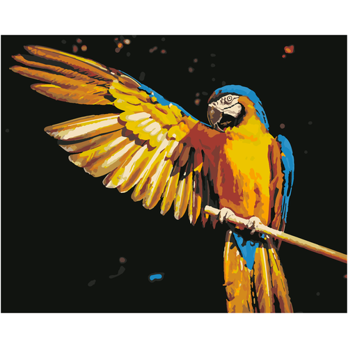 фото Картина по номерам hobruk "крыло попугая" 40*50см