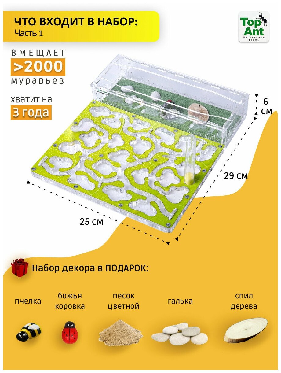 Большая муравьиная ферма максимальный комплект — фото 1