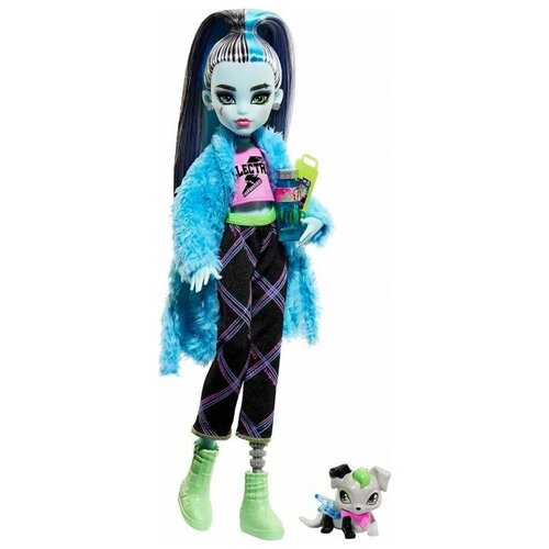 Кукла Monster High Фрэнки Штейн с питомцем выпуск 2022 года, 26 см, HKY68 коллекционная кукла monster high clawdeen wolf with pet cat crescent creepover party