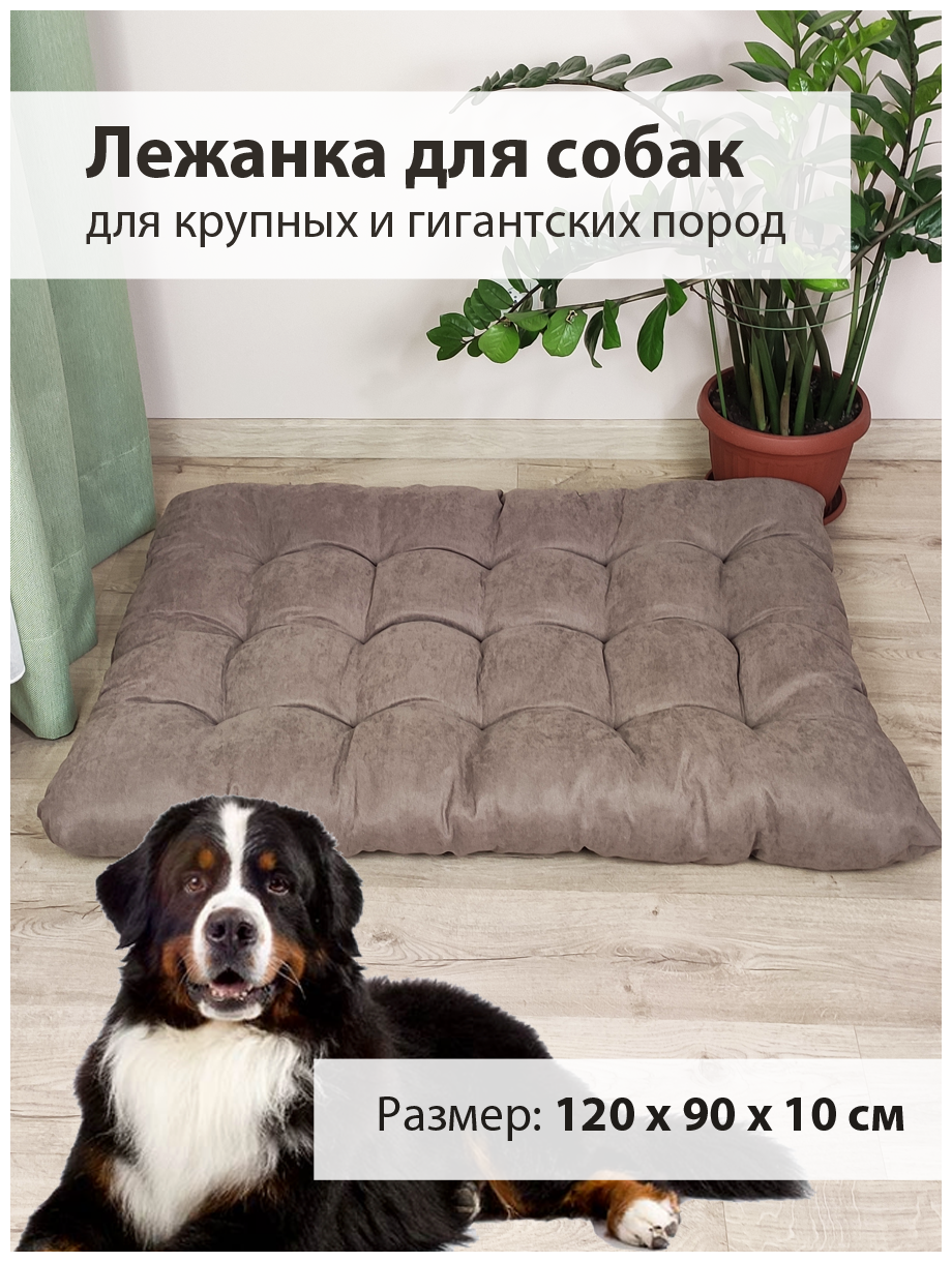 Лежанка - матрас для собак больших и крупных пород Graff (120 х 90 см)