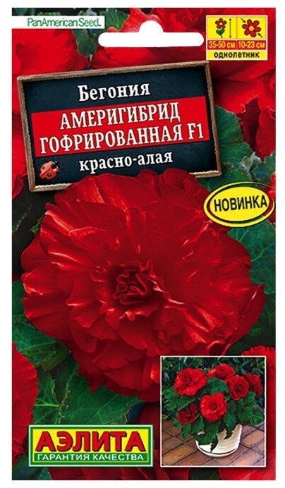 Семена Агрофирма АЭЛИТА Бегония Америгибрид гофрированная F1 красно-алая 5 шт