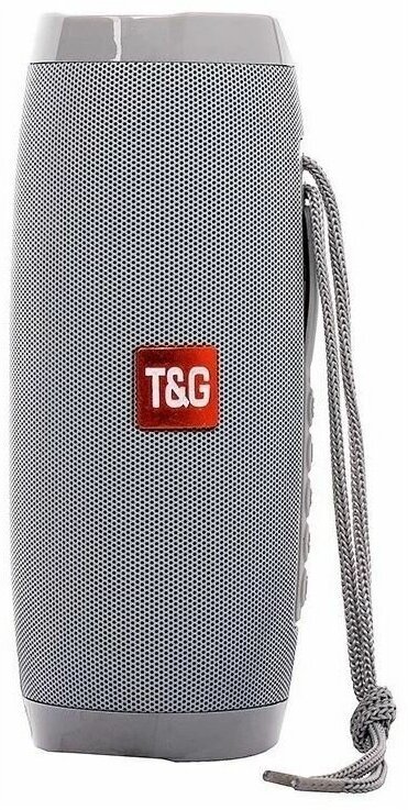 Портативная акустика T&G TG157 CN, 10 Вт, серый