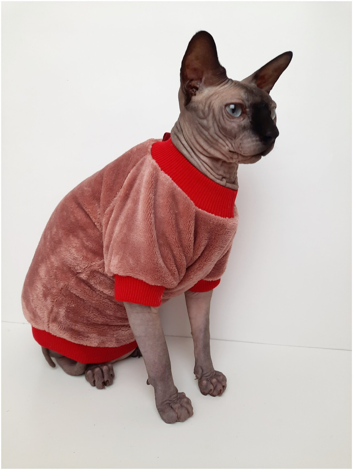 Толстовка, свитер, шуба для кошек сфинкс, размер 40 (длина спины 40см), цвет коралл / Одежда для кошек сфинкс / одежда для животных - фотография № 5