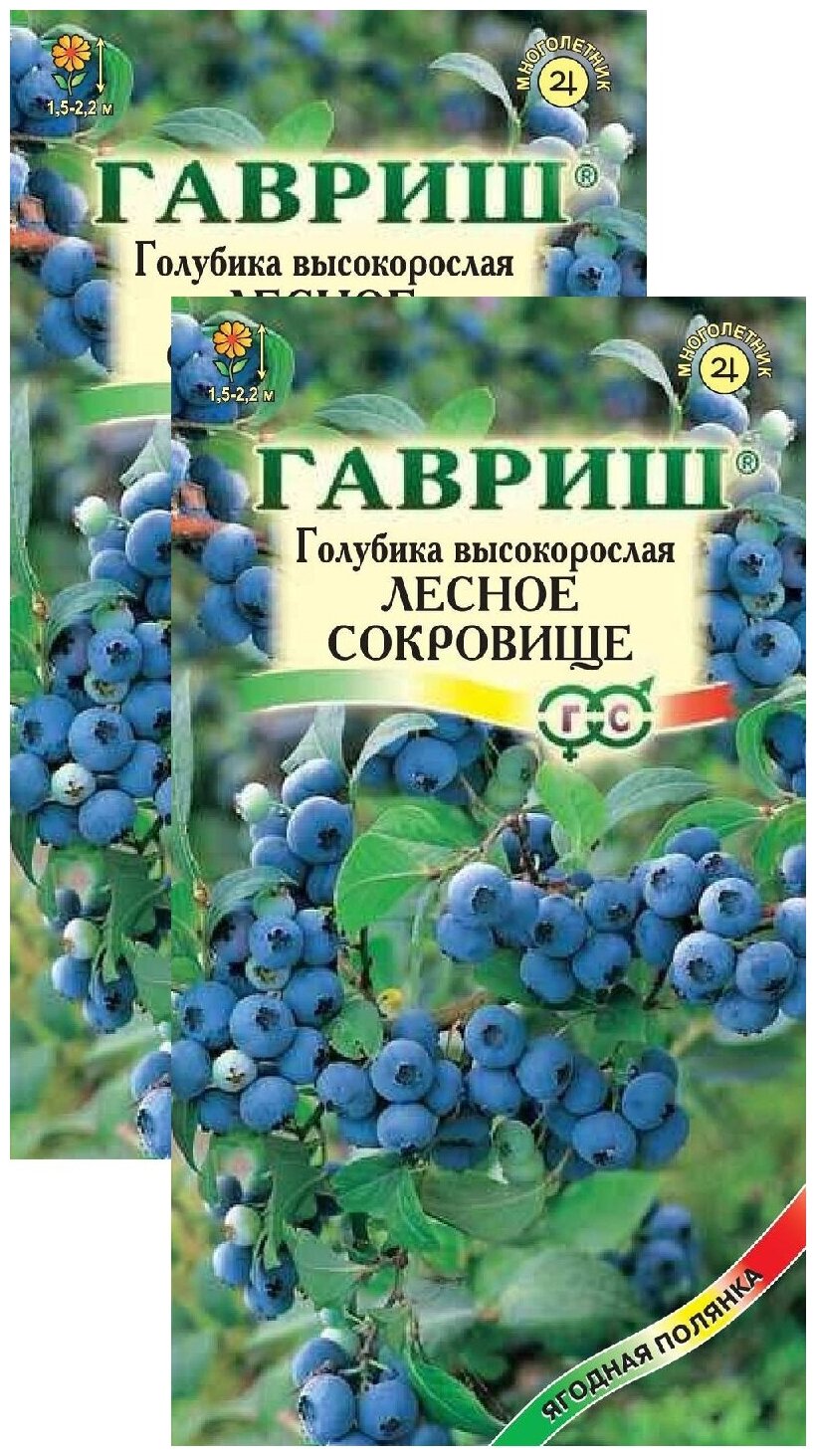 Голубика высокорослая Лесное сокровище (30 семян) 2 пакета