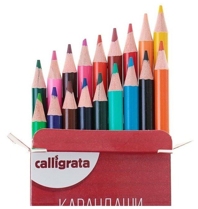 Карандаши 18 цветов Акварельныев картонной коробке заточенные Calligrata - фотография № 3