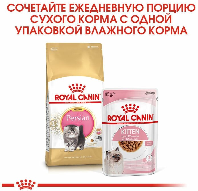 Корм Royal Canin Persian KITTEN для котят персидских пород до 12 мес., 10 кг - фотография № 7