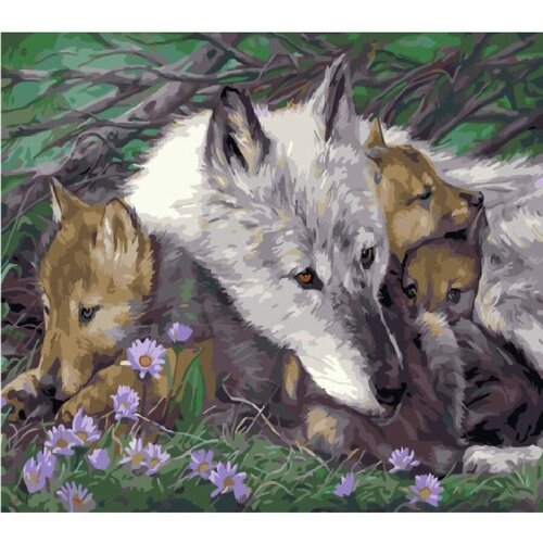 Картина по номерам Заботливая волчица 40х50 см Hobby Home