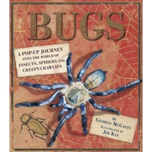 Bugs. A Pop-up Journey into the World of Insects, Spiders and Creepy-crawlies