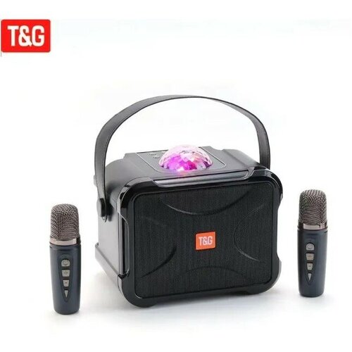 Портативная беспроводная караоке система с 2-мя микрофонами FM радио и светомузыкой TG-543DK черно-серая 249900₽