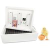 Фото #18 Датчик влажности и температуры Несушка Несушка на 63 яйца, автоматический переворот, аналоговый терморегулятор с цифровой индикацией
