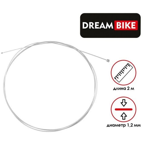   Dream Bike, 1.2x2000,  4.5x4.5 