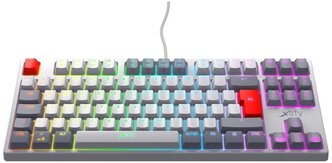 Игровая механическая клавиатура Xtrfy K4 TKL RGB, Retro