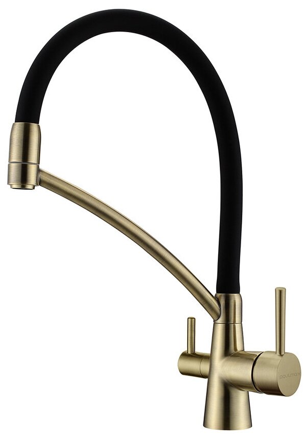 Смеситель Paulmark SIEGEN Si213111-BR бронза с подключением к фильтру