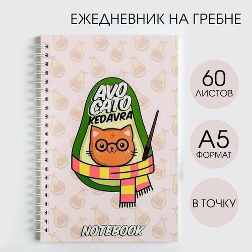 Ежедневник недатированный А5 60 л 662₽