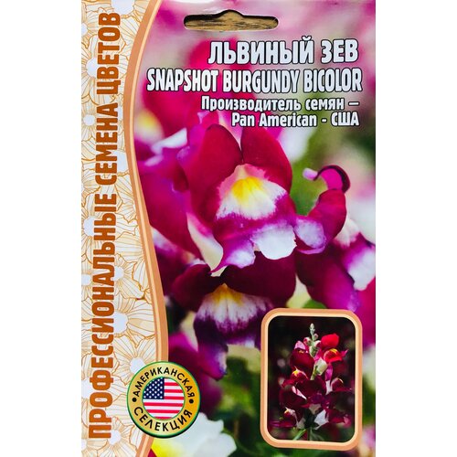 Семена Львиного зева (Антирринум) Snapshot burgundy bicolor (5 семян)