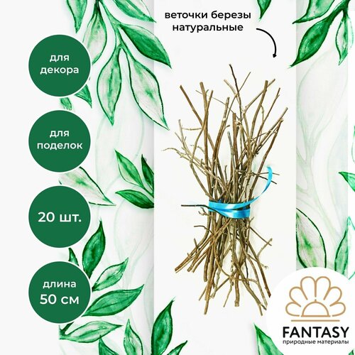 Веточки березы FANTASY, хворост декоративный натуральный, 50-55 см, материал для творчества, для декора, деревянные виншевые прутики для поделок