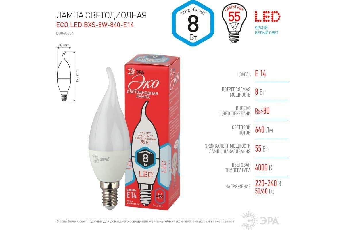 Упаковка ламп ЭРА ECO LED BXS-8W-840-E14, 8Вт, 640lm, 25000ч, 4000К, E14, 5 шт. [б0040884] - фото №4