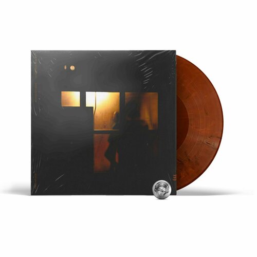 Sachal Vasandani - Midnight Shelter (coloured) (LP) 2021 Brown, Limited Виниловая пластинка виниловая пластинка barry white can t get enough cream limited 1lp