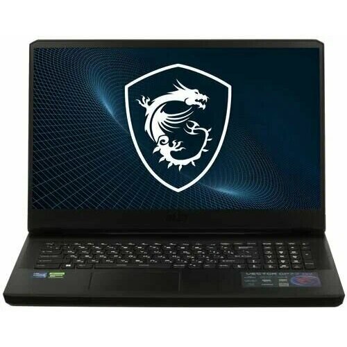173 Ноутбук MSI Vector GP77 13VG-065RU черный 19999900₽