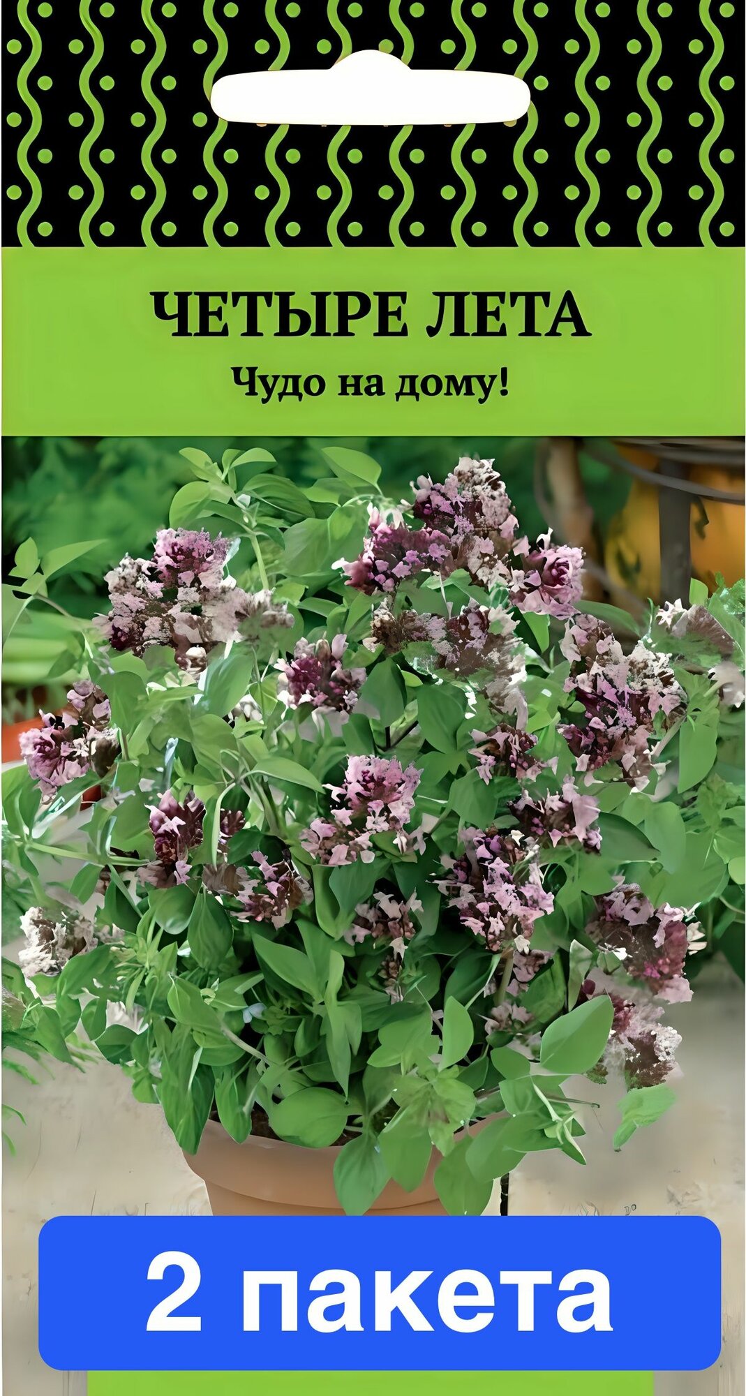 Семена зелени и пряностей Поиск 