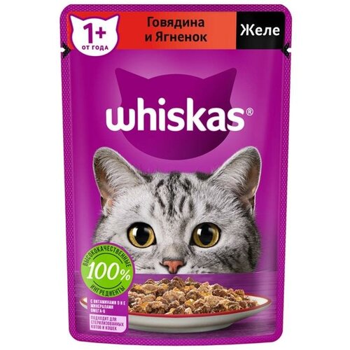 Влажный корм для кошек Желе, Whiskas, говядина и ягнёнок, 75 г влажный корм whiskas для кошек говядина и ягнёнок в желе