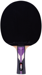 Ракетка для настольного тенниса Roxel УТ-00015358 черный/красный/фиолетовый