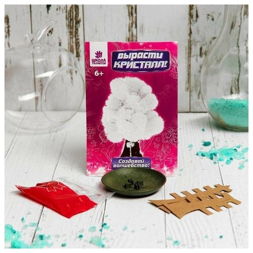 фото Набор для выращивания кристалла "волшебное дерево" цвет белый школа талантов