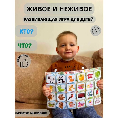 Живое-неживое в д кто и что живое и неживое д 430 20