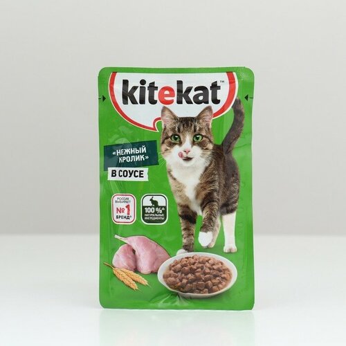 Влажный корм KiteKat для кошек, нежный кролик, 85 г