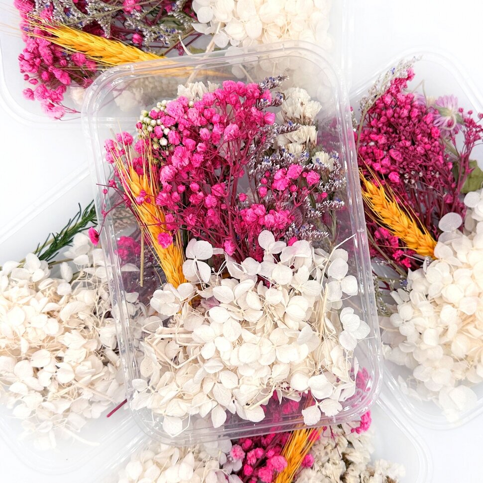 фото Набор сухоцветов №3