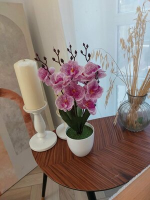 Искусственное растение GoldenGarden Орхидея фаленопсис для декора дома