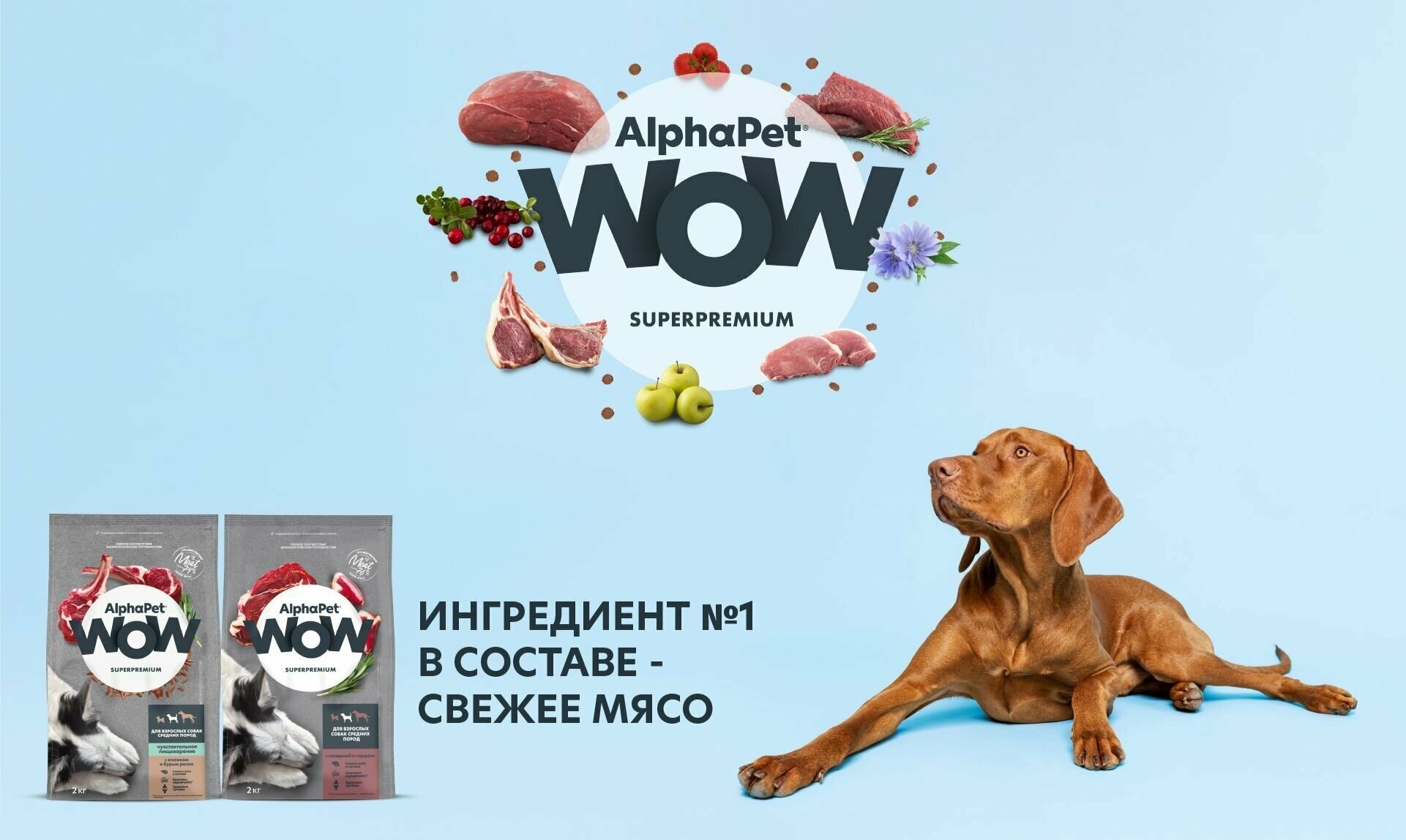 Сухой полнорационный корм с говядиной и сердцем для взрослых собак средних пород AlphaPet WOW Superpremium 7 кг - фотография № 13