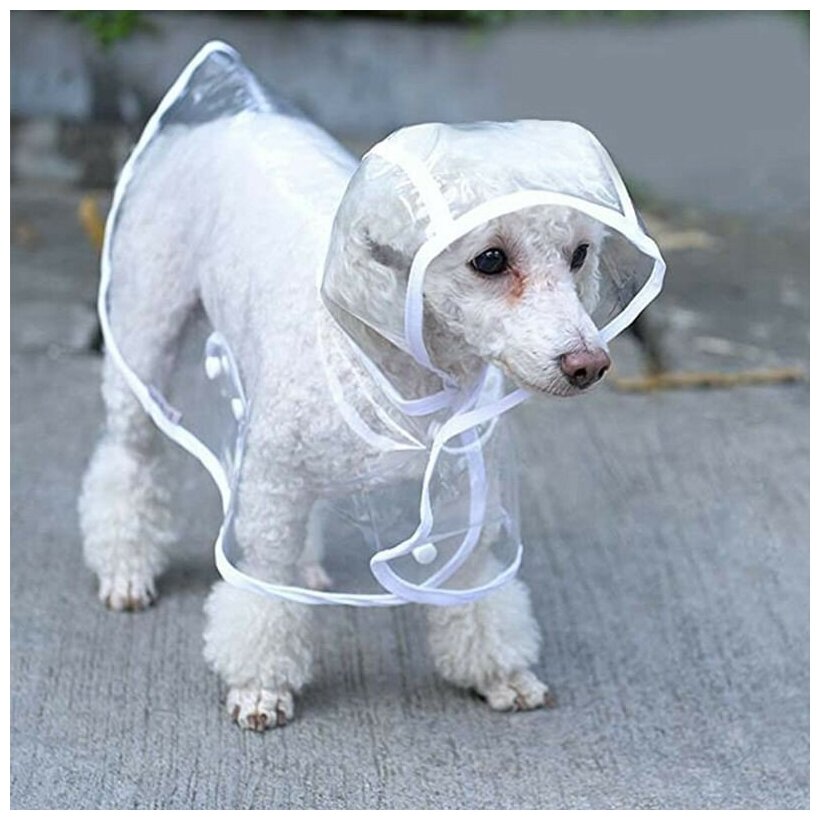 Плащ для собак непромокаемый, дождевик для собак мелких, средний, крупных пород, прозрачный, размер S - фотография № 10