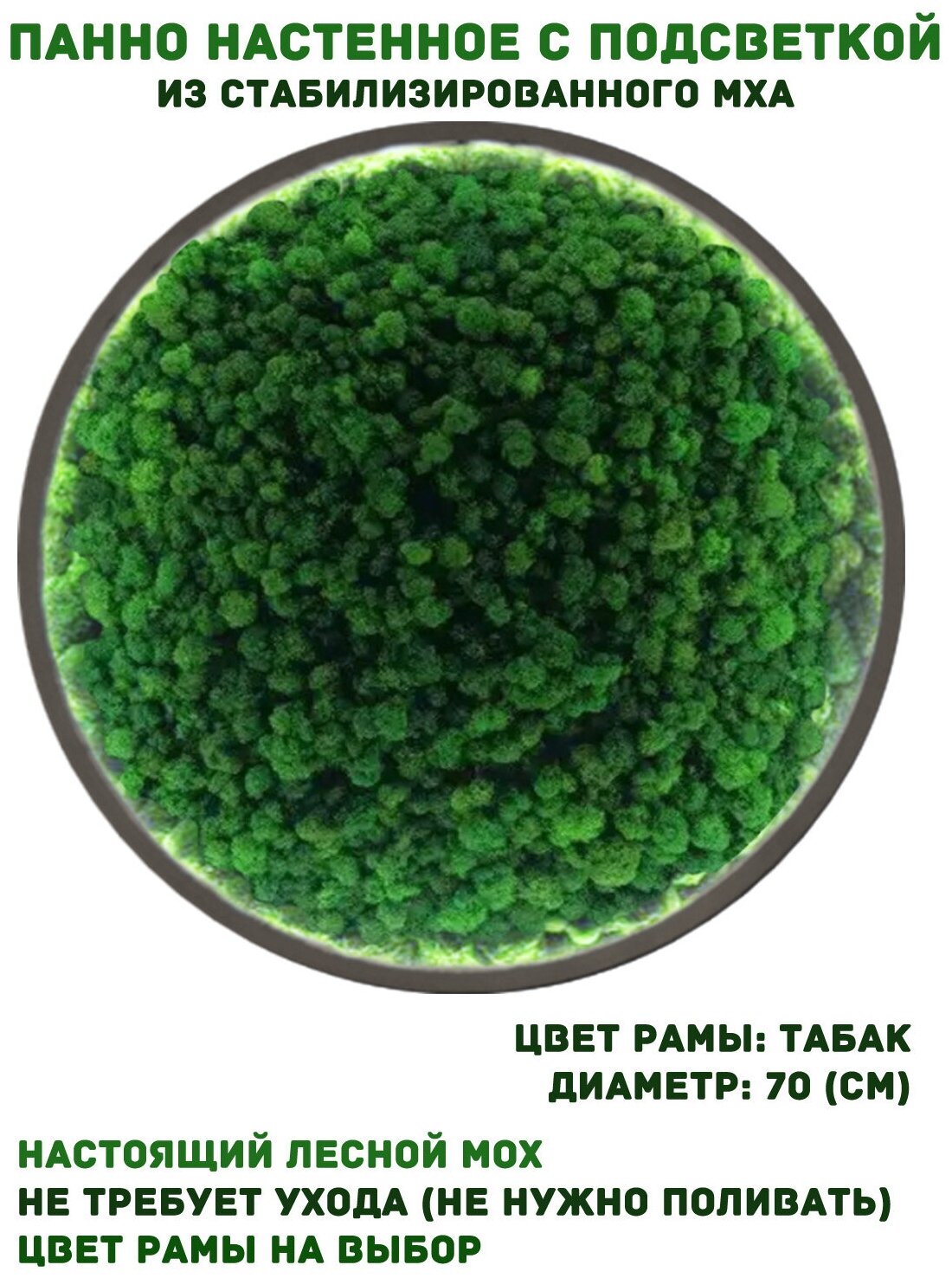 Круглое панно из стабилизированно мха GardenGo с подсветкой в рамке цвета табак диаметр 70 см, цвет мха зеленый