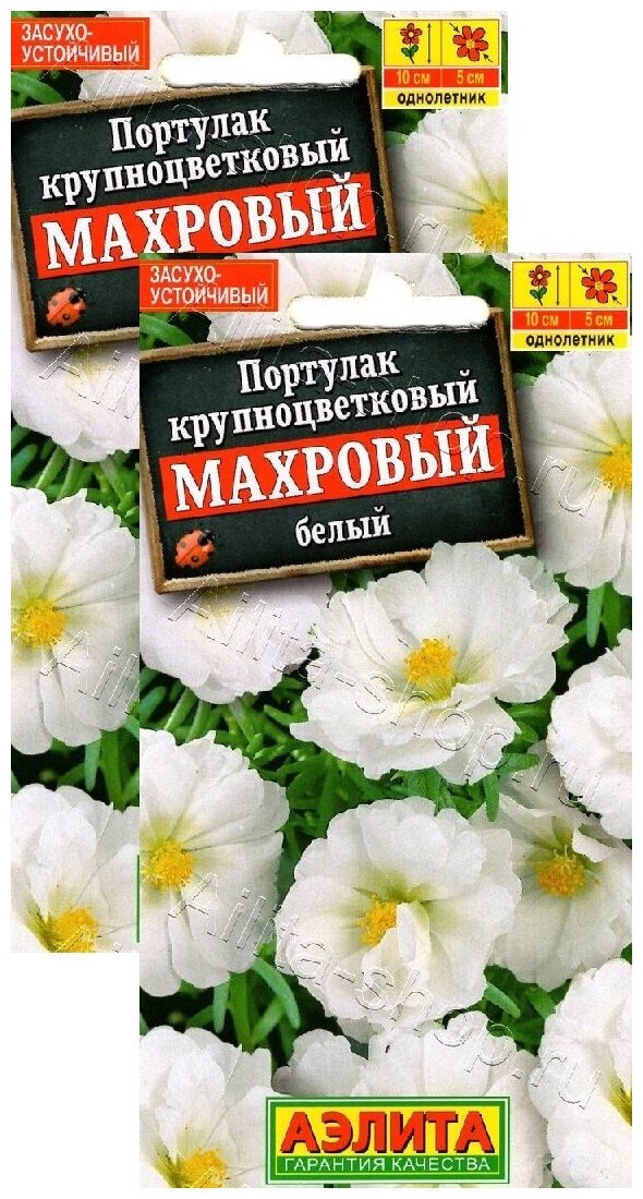 Портулак махровый белый (005 г) 2 пакета