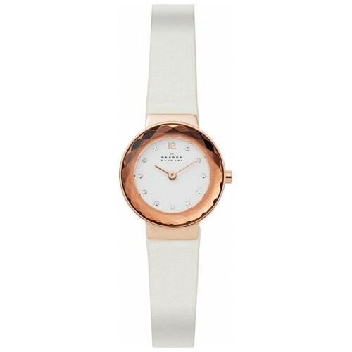 Наручные часы Skagen SKW2769