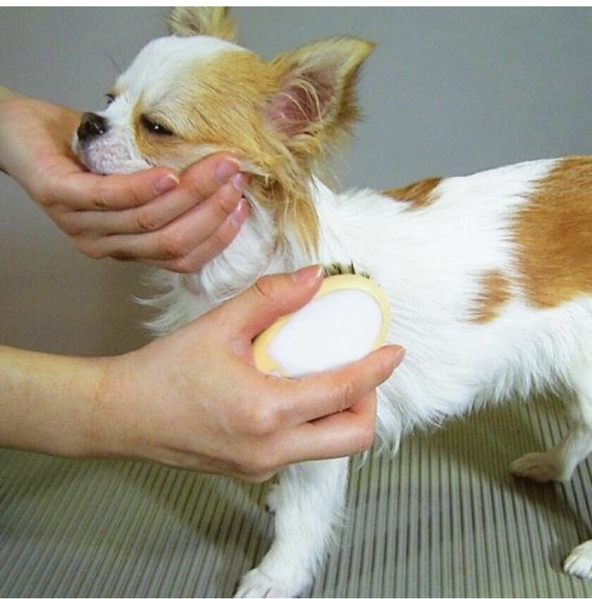 Japan Premium Pet Щетка с натуральной щетиной для блеска шерсти Мини - фотография № 6