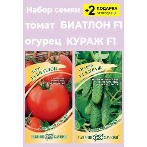 Семена томат Биатлон, 12 семян + Огурец Кураж F1, 10 сем. + 2 Подарка